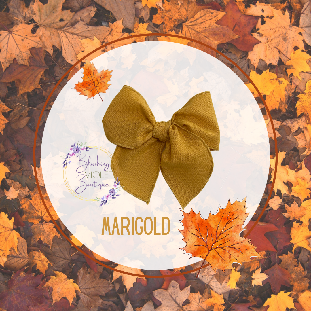 Autumn Ablaze SOLIDS