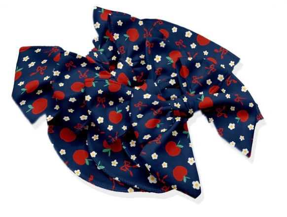 Back to school Apples &  Bows