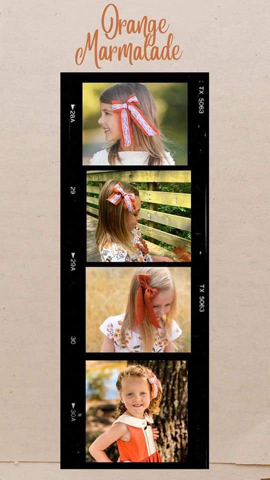 2022 Fall Chiffons