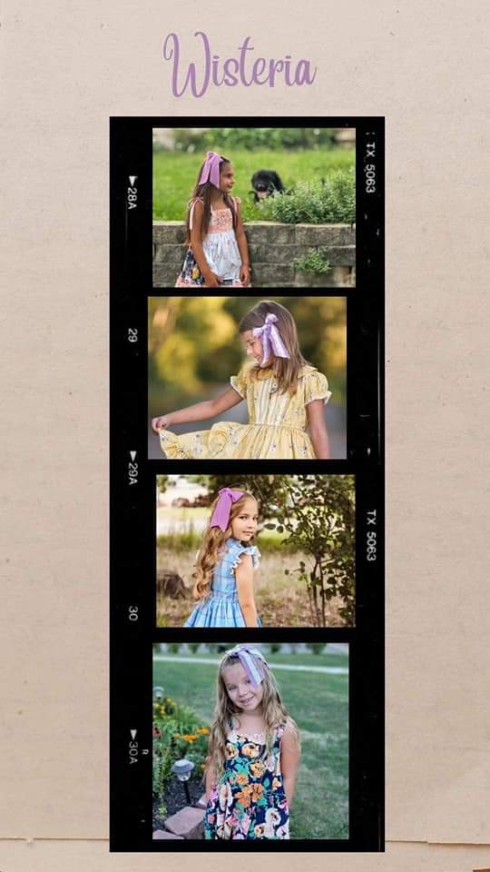 2022 Fall Chiffons