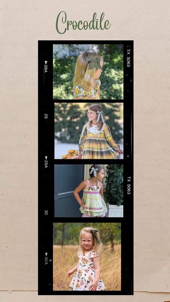 2022 Fall Chiffons